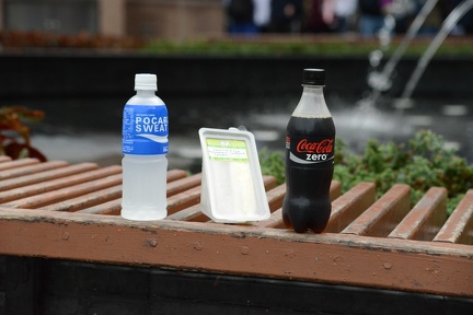 Trip fueled by Pocari Sweat  Tuna and Egg Sandwiches with Coke Zero